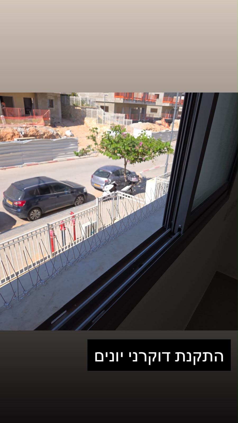 התקנת דוקרני יונים